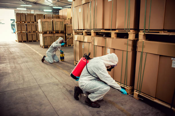 Best Best Pest Control Companies  in San Lorenzo, CA