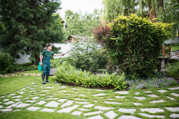 Flea Control Services in San Lorenzo, CA