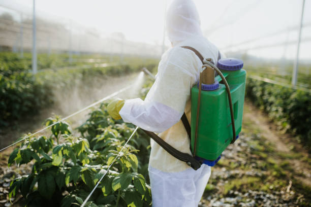 Best Pest Control Near Me  in San Lorenzo, CA